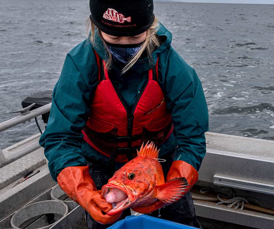 Conserving rockfish with data and science literacy