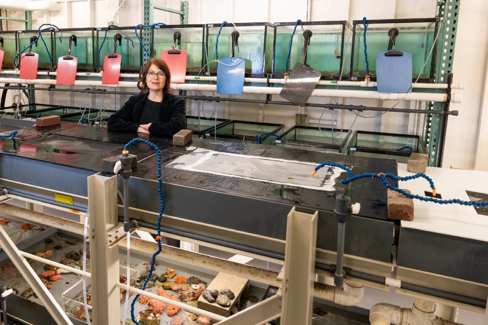 UVic researcher Amanda Bates standing by open fish tanks in a marine research lab.