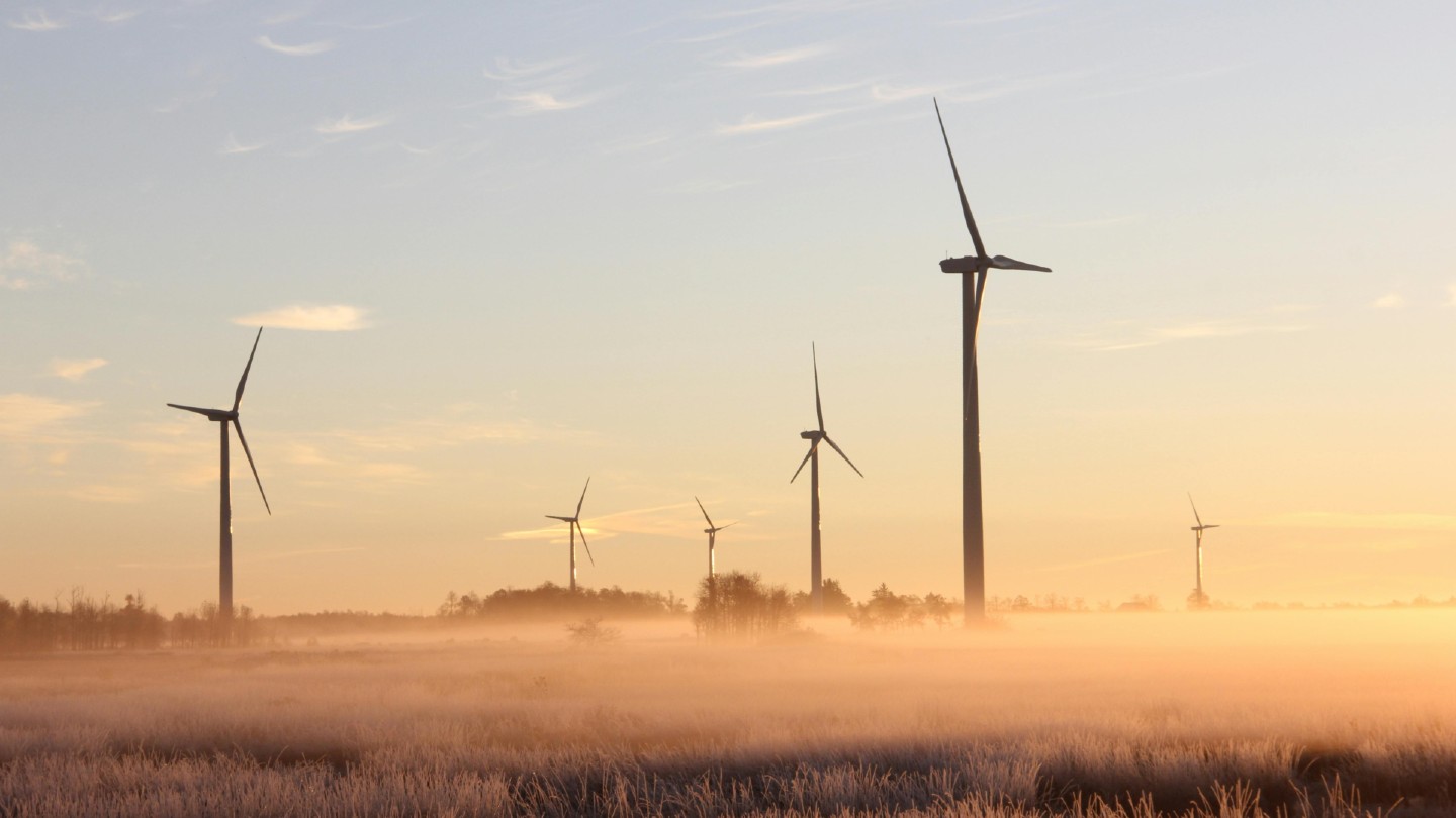 Experts on renewable energy for Earth Day
