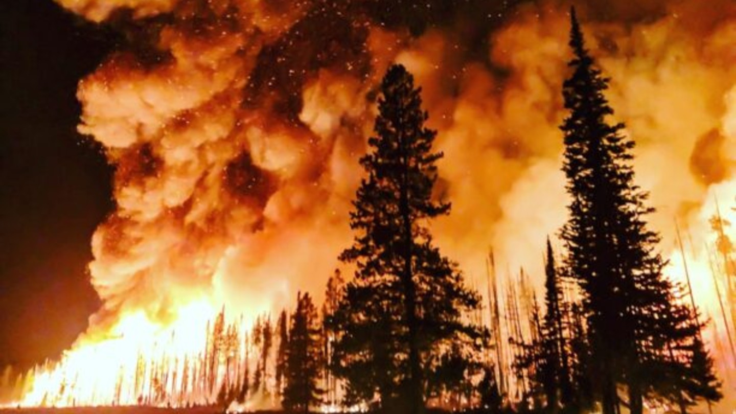 How ‘beneficial fire’ reduces risk of wildfire: report 
