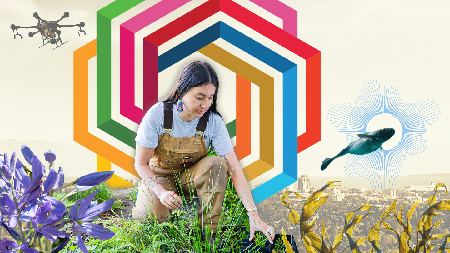 Global rankings show UVic leads in sustainable impact