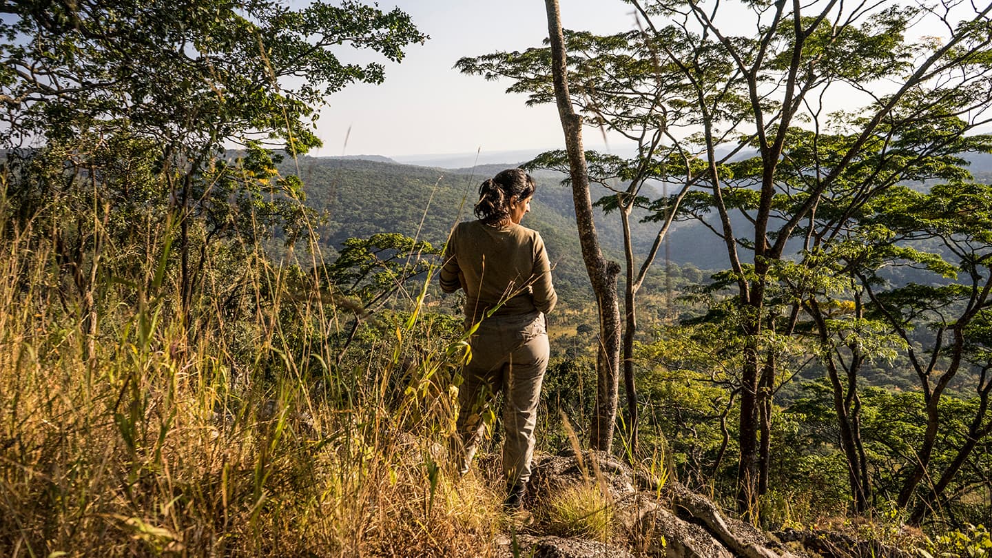 Great ape behaviour expert Ammie Kalan stands looking over a valley