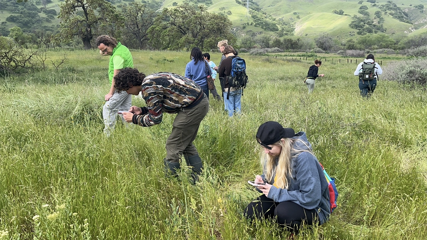 Students wander through tall grass in a field as they collect data and photos.