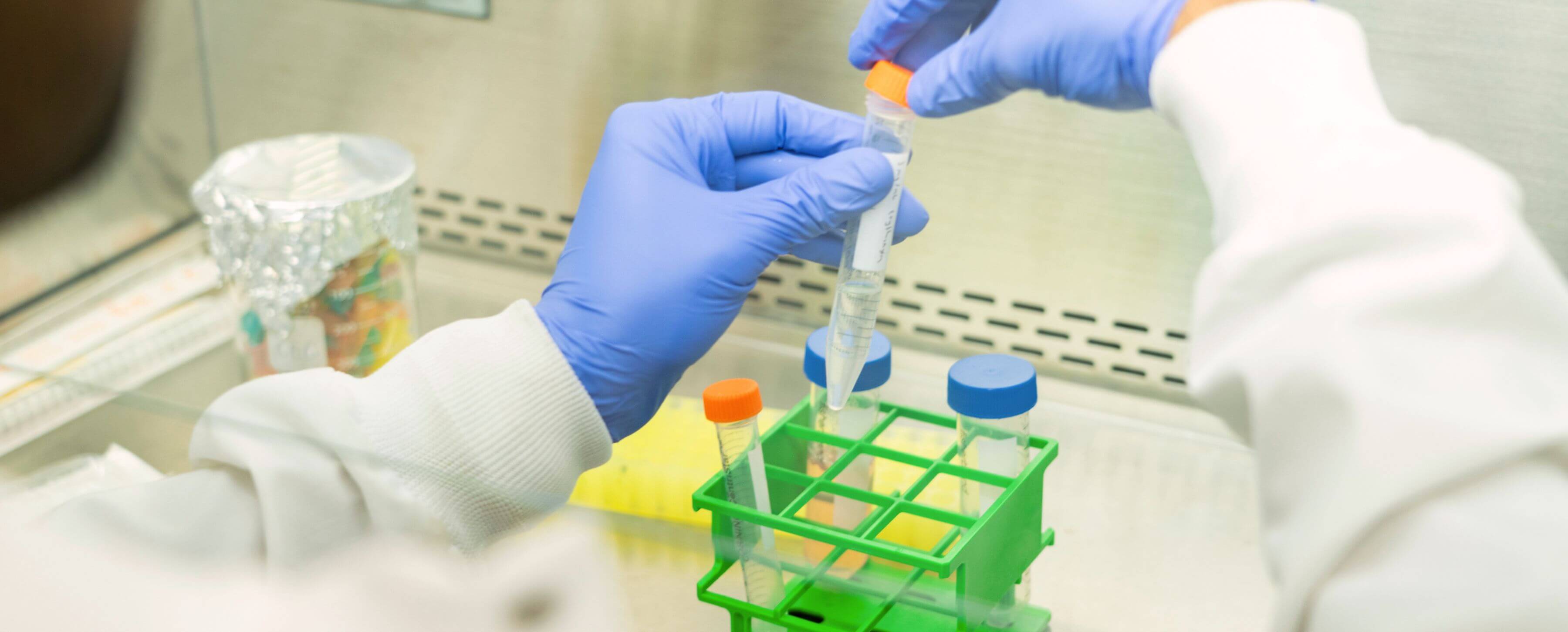 Pioneering UVic program nurtures early-career health researchers