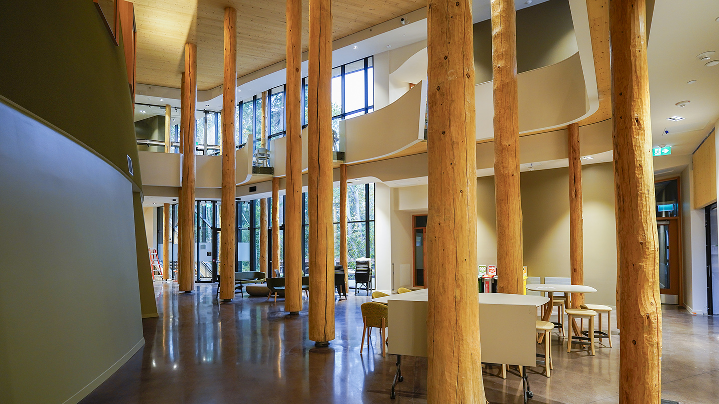 A view of the atrium with log pillars