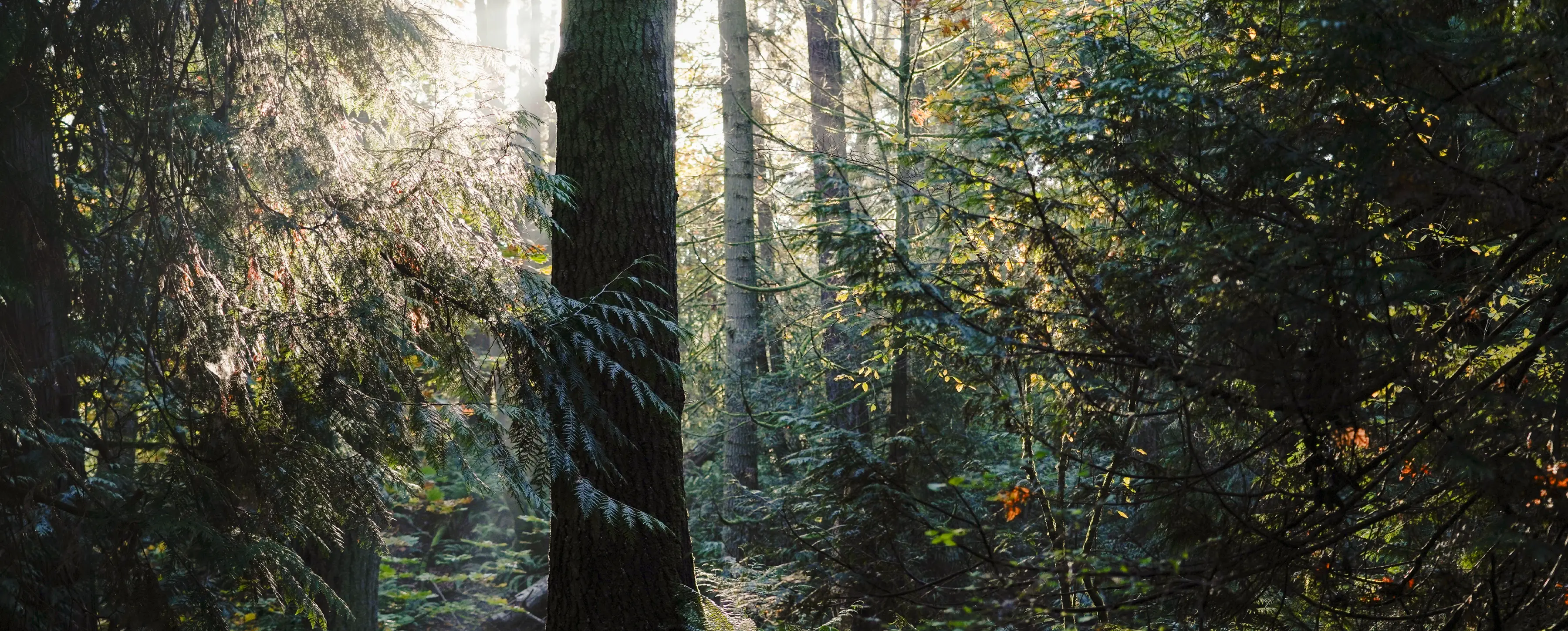 A healthy start to 2026