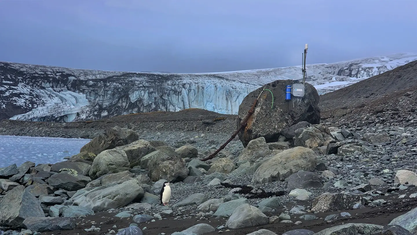 A chinstrap penguin stands on a rocky shore near research equipment.