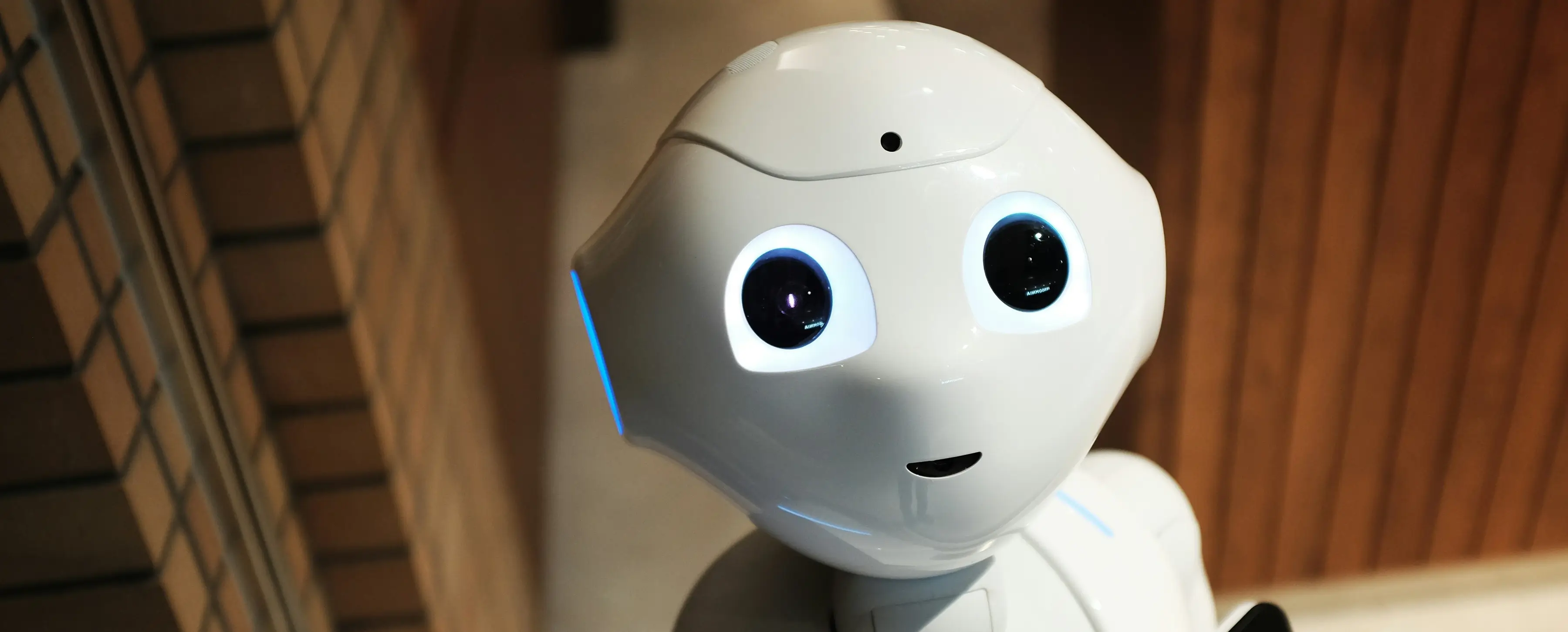 Could an empathic robot be a part of your future healthcare team?