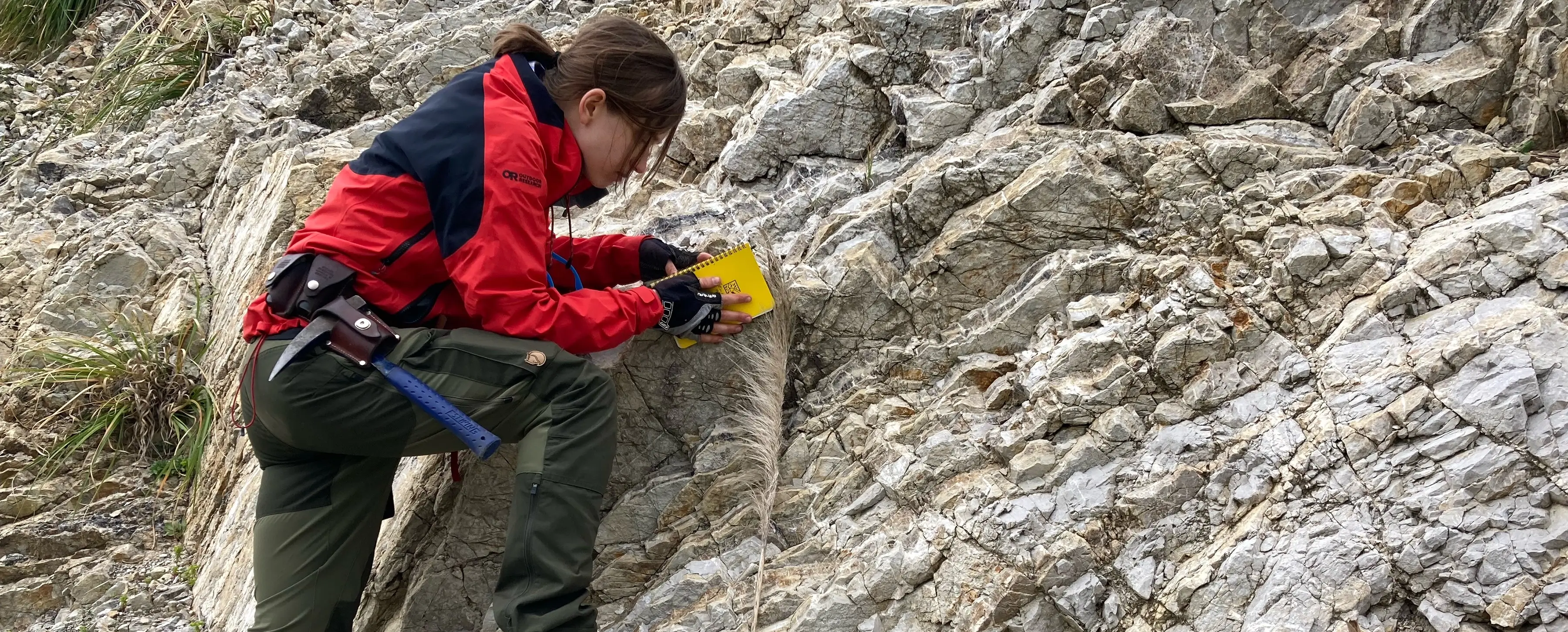 Uncovering links between early Earth’s carbon cycle and ballooning oxygen levels