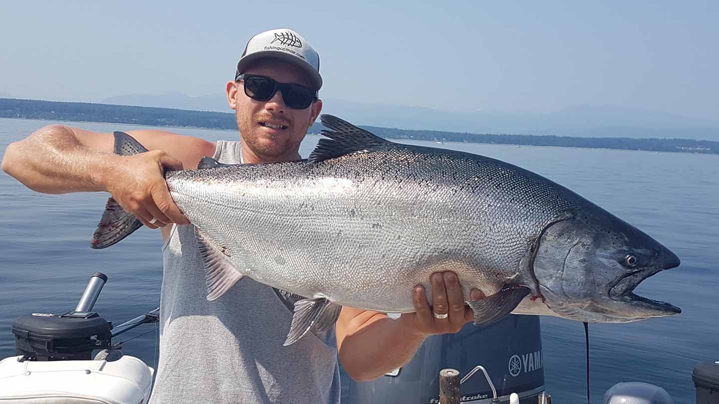 What do Chinook salmon eat? BC anglers and scientists map the Salish Sea food chain 