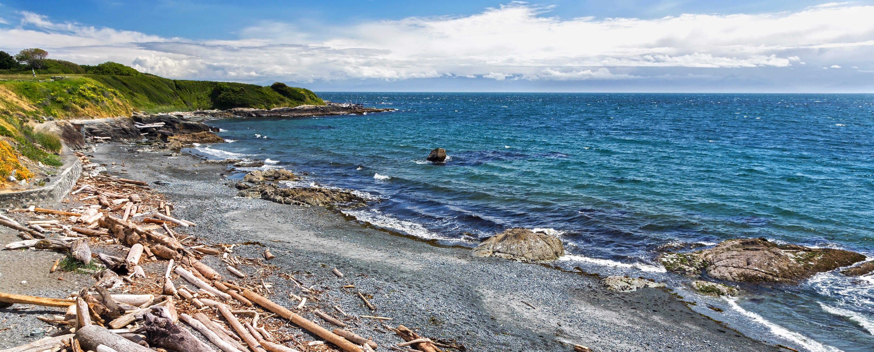 Ocean Networks Canada leadership update