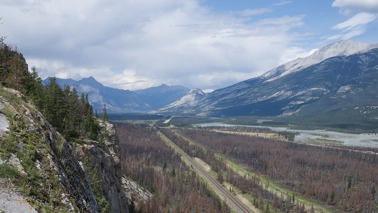 Ecological novelty and climate change: study identifies unprecedented disruptions 