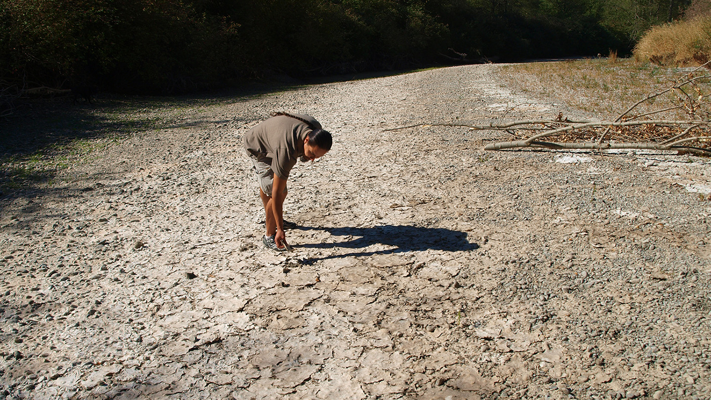 Experts on drought in BC 